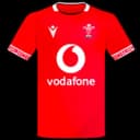 Wales jersey